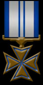 Starfleet Bronze Cross